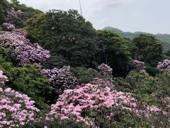 -梧桐山风景名胜区