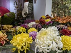 -杭州植物园