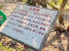 -上海佘山国家森林公园天马山园