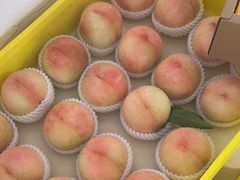 -老袁家蜜桃农场·阳山水蜜桃