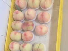 -老袁家蜜桃农场·阳山水蜜桃