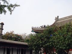 -王家大院