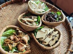 -滇野云南野生菌餐厅(陕西南路店)