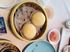 -醉辉皇原味海鲜江南菜(成都大魔方店)