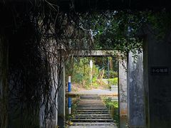 -燕晗山郊野公园