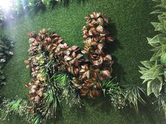 -霸王牛肉(龙湖U城店)