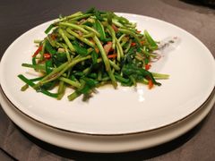 藜蒿炒腊肉-都市阳光海鲜城(青山湖店)