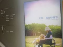 -关爱宠物医院·猫科中心·消化科(滨湖万达分院)