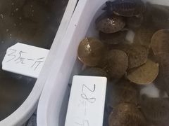 -江杨农产品批发市场