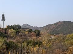 -北京中信金陵酒店