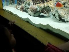 -北戴河圣蓝海洋公园