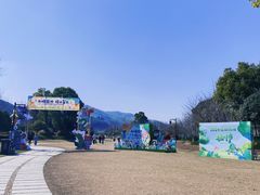 -径山花海