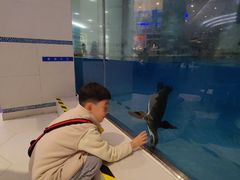 -帝企鹅自助餐厅•儿童岛•真企鹅(长隆企鹅酒店)