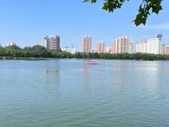 -莲花池公园