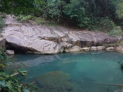 -广州白江湖森林公园