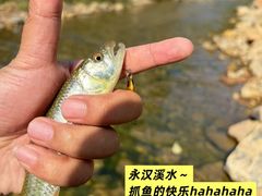 -老客家美食• 竹筒饭• 河鲜(龙门永汉店)