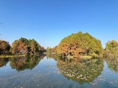 -贡湖湾湿地公园