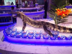 -澜悦港海鲜体验主题餐厅