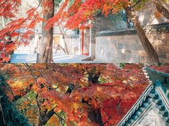 -青岛崂山太清宫