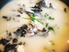 -老淳安—伴山伴湖(千岛湖开元度假村店)