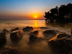 -宝安西湾红树林湿地公园