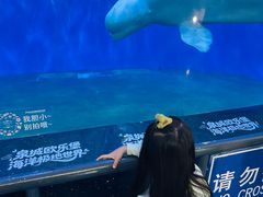 -泉城欧乐堡海洋极地世界