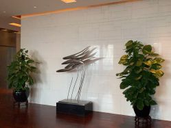 -广州富力君悦大酒店O SPA