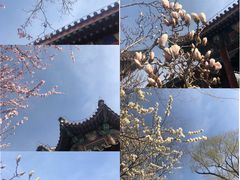 -颐和园