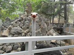 -临沂动植物园