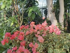 -国家植物园南园