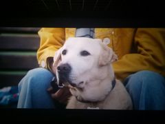 -星河国际影城(新会店)