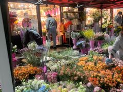 -宝鸡东道花鸟鱼虫市场(吉利花园商场店)