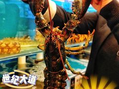 -财神岛·大连海鲜餐厅