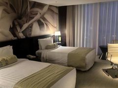 -国家会议中心大酒店