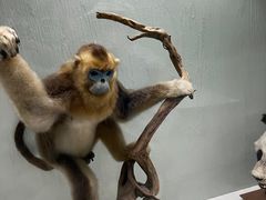 -国家自然博物馆