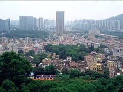 -紫马岭公园