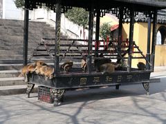 -苏州上方山国家森林公园