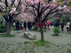 -西安青龙寺遗址景区