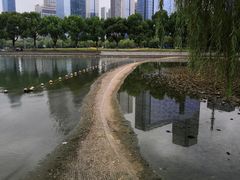 -天鹅湖体育公园
