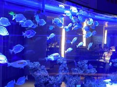 -上和臻品中国菜(花园街店)