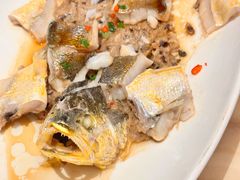 -锦粤宫·精致粤菜(深圳北站店)