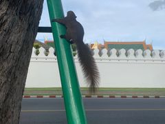 -唐人街(耀华力路)