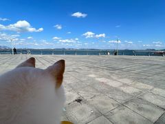 -东港音乐喷泉广场