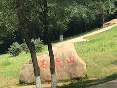 -高尔山公园