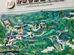 -野象谷景区