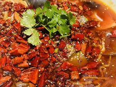 -望乡楼上海菜(日月光店)