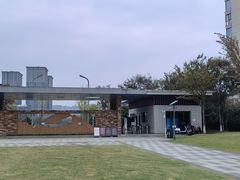 -洋湖国家湿地公园