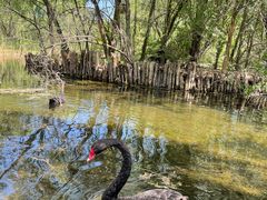 -北京麋鹿生态实验中心
