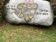 -三亚亚龙湾雅高美爵酒店