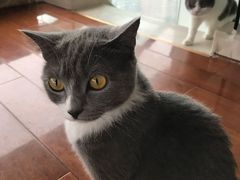 -Catmate·猫肥家润(金润铂宫店)